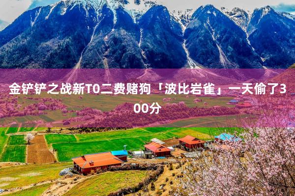 金铲铲之战新T0二费赌狗「波比岩雀」一天偷了300分