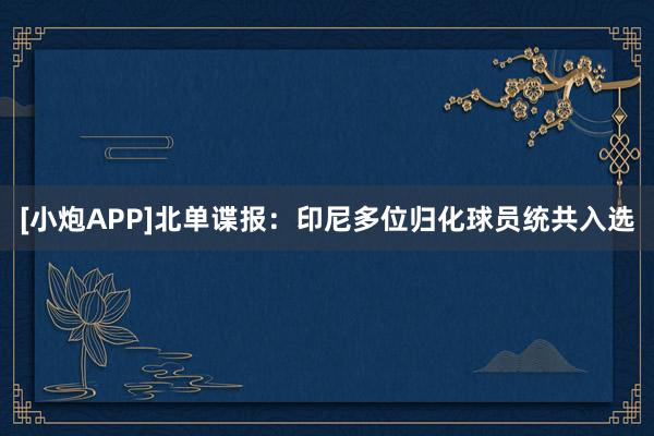 [小炮APP]北单谍报：印尼多位归化球员统共入选