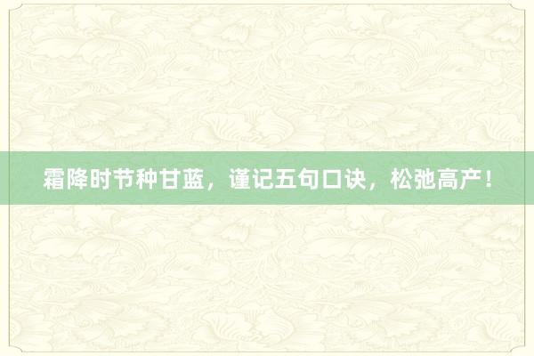 霜降时节种甘蓝，谨记五句口诀，松弛高产！
