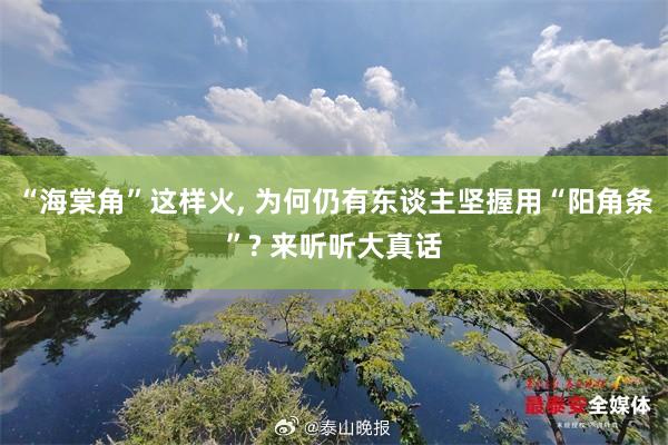 “海棠角”这样火, 为何仍有东谈主坚握用“阳角条”? 来听听大真话