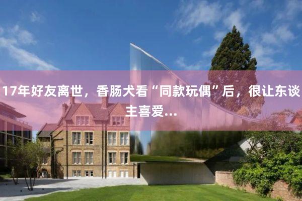 17年好友离世，香肠犬看“同款玩偶”后，很让东谈主喜爱...