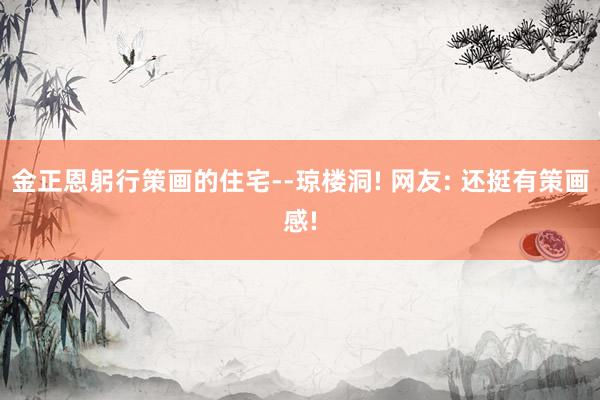 金正恩躬行策画的住宅--琼楼洞! 网友: 还挺有策画感!